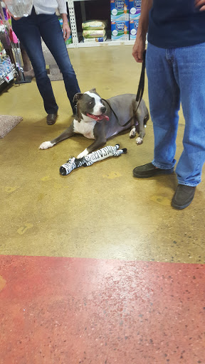 Pet Supply Store «One of the Family Pet Supply LLC», reviews and photos, 288 Lincoln Blvd, Middlesex, NJ 08846, USA