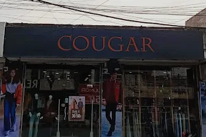 Cougar image