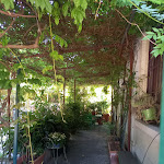 Photo n°8 de l'avis de Samantha.i fait le 13/06/2021 à 18:06 sur le  La Balera dell'Ortica à Milan