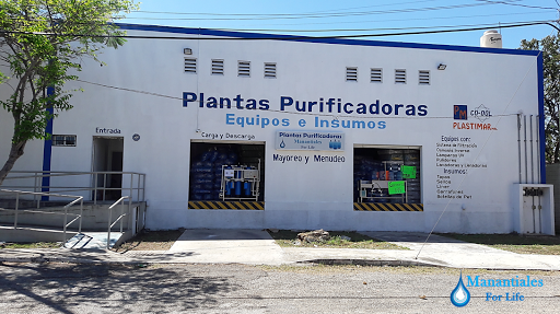 Plantas Purificadoras - Manantiales For Life