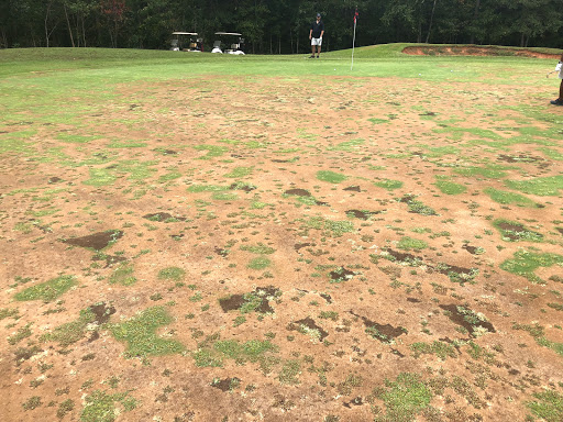 Country Club «St Andrews Golf & Country Club», reviews and photos, 8799 Edinburg Dr, Winston, GA 30187, USA