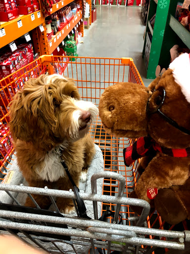 Home Improvement Store «The Home Depot», reviews and photos, 20 Gateway Village Rd, Bluffton, SC 29910, USA