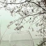 Photo n°3 de l'avis de Cosmin.o fait le 19/02/2024 à 17:43 sur le  Casa Patrizia à Bolsena