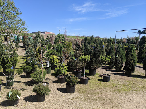 Garden Center «Quality Gardens», reviews and photos, 409 PA-228, Valencia, PA 16059, USA