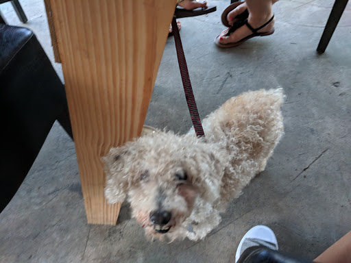 Winery «Sons & Daughters Farm and Winery», reviews and photos, 5926 Fearnley Rd, Lake Worth, FL 33467, USA