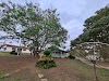 Epamig Campo Experimental Três Pontas Logo, Três Pontas, Brazil, Farm