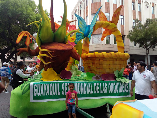 Paddling pools in Guayaquil