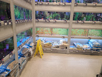 PetSmart - Photo 4 - Car repair in Lake Forest, CA, Mission Viejo