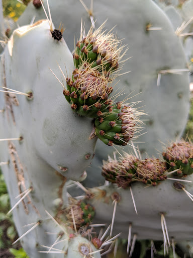 Park «Aliso Canyon Park», reviews and photos, East of Reseda between Senson & Rinaldi, Northridge, CA 91326, USA