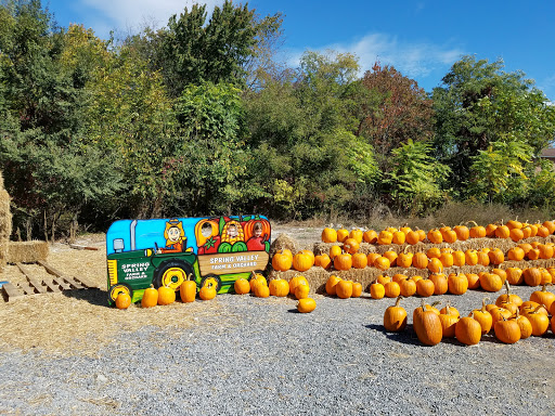 Supermarket «Spring Valley Farm Corner Market», reviews and photos, 22580 Northwestern Turnpike, Romney, WV 26757, USA