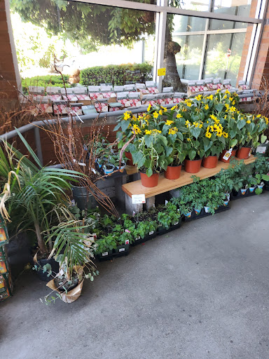 Grocery Store «Whole Foods Market», reviews and photos, 880 Main St, Melrose, MA 02176, USA