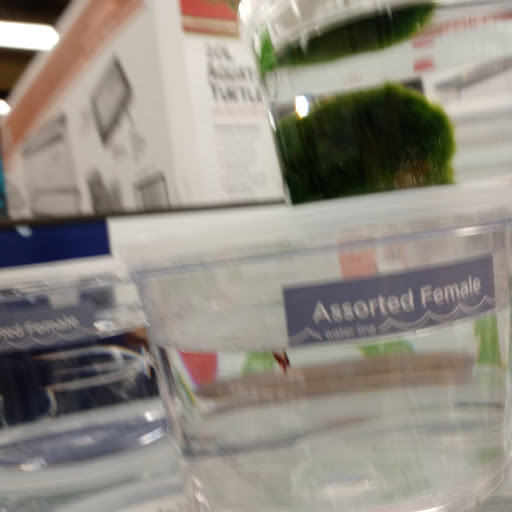 Pet Supply Store «Petco Animal Supplies», reviews and photos, 6140 University Dr, Huntsville, AL 35806, USA