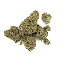 Gift Givers Rochester - Photo 9 - Car repair in Rochester, NY, Rochester