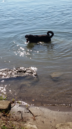 Museum «Grosse Ile Historical Museum», reviews and photos, 25000 E River Rd, Grosse Ile Township, MI 48138, USA