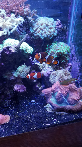 Pet Store «Ark Pet Shop», reviews and photos, 2400 W Lincoln Hwy, Merrillville, IN 46410, USA