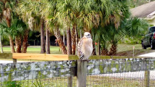 Nature Preserve «Cypress Creek Natural Area», reviews and photos, 10035 W Indiantown Rd, Jupiter, FL 33478, USA