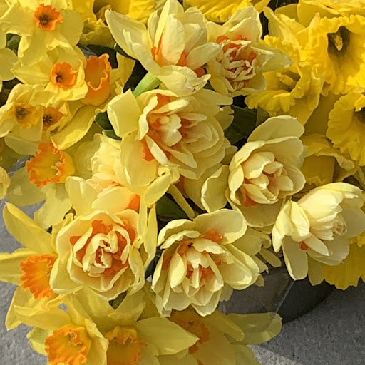 Florist «Green Inc», reviews and photos, 1718 N Wells St, Chicago, IL 60614, USA