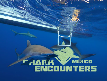 SHARK ENCOUNTERS MEXICO