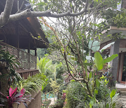 Desak Putu Putra Homestay photo