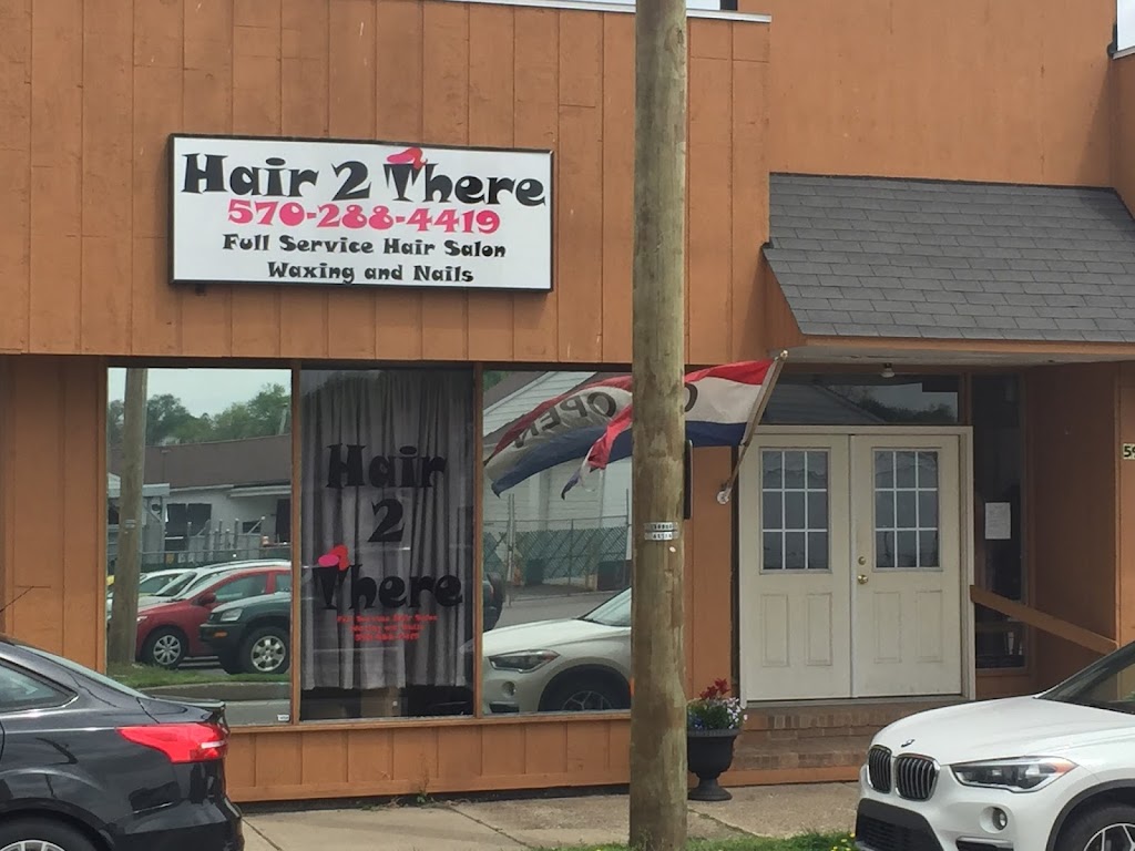 Hair 2 There 18709