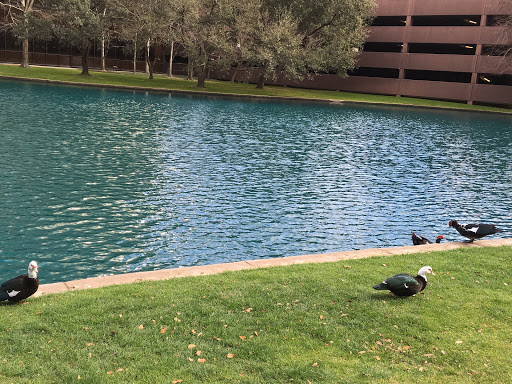 Construction Company «Bechtel Oil, Gas & Chemicals», reviews and photos, 3000 Post Oak Blvd, Houston, TX 77056, USA