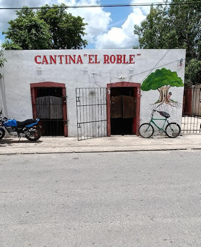 Cantina El ROBLE homun,yuc - Calle 19 x16 y 18 16 por 18, 97580 Homún, Yuc., Mexico