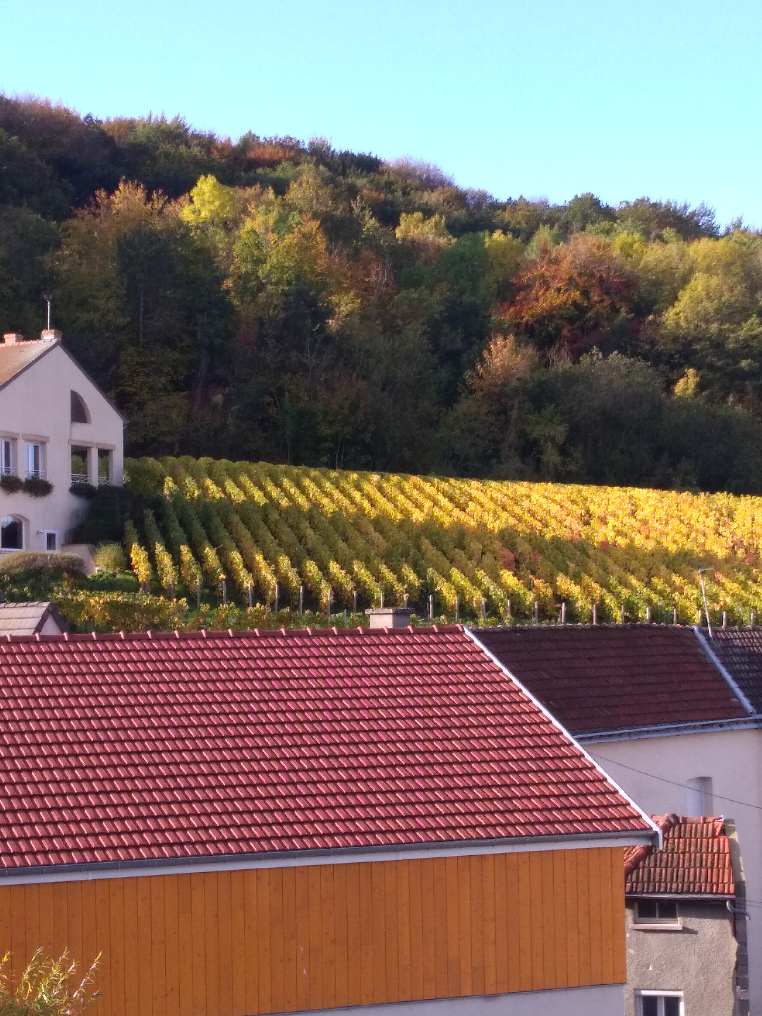 Photo n° 3 de l'avis de Julien.e fait le 25/10/2019 à 19:07