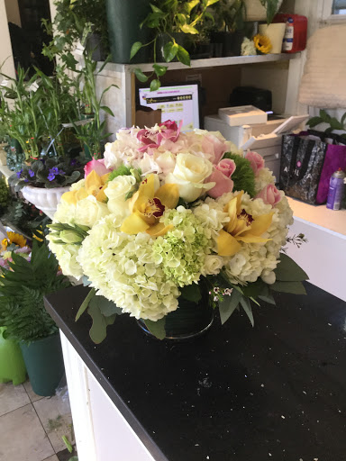 Florist «Greenwich Blooms Florist Inc», reviews and photos, 109 Mill St, Greenwich, CT 06830, USA