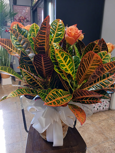 Florist «Treasures To Adore», reviews and photos, 1313 Carolyn Ct, Humble, TX 77338, USA