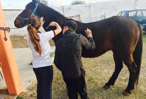 Centro Veterinario Simón