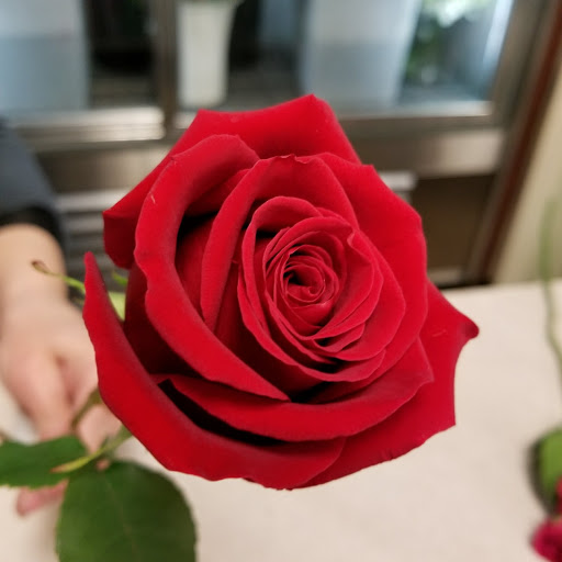 Florist «BROADWAY FLORAL & GIFT GALLERY», reviews and photos, 14 Broadway, Denville, NJ 07834, USA