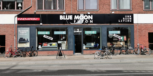 Blue Moon Futon