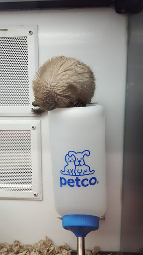 Pet Supply Store «Petco Animal Supplies», reviews and photos, 1970 S Robert St, West St Paul, MN 55118, USA