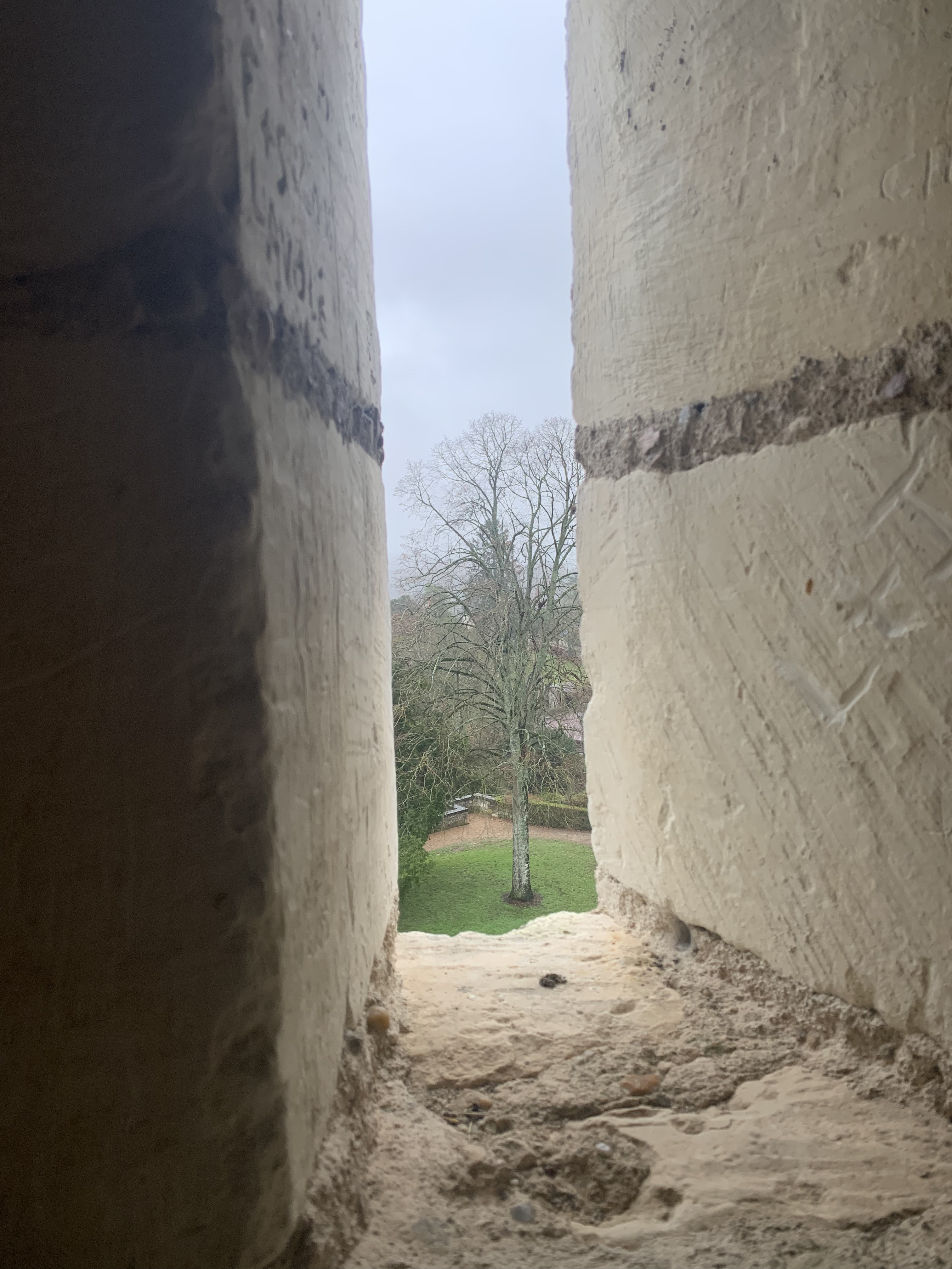 Photo n° 5 de l'avis de Muriel.. fait le 12/01/2023 à 12:50