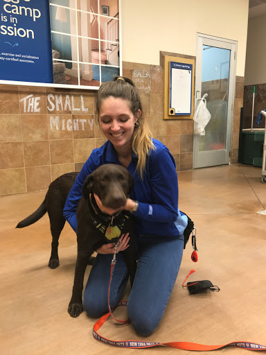 Pet Supply Store «PetSmart», reviews and photos, 190 Rt 10 West, East Hanover, NJ 07936, USA