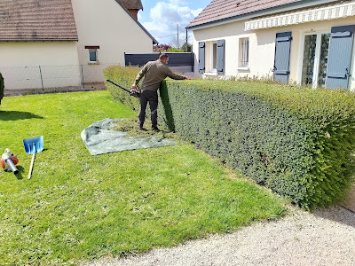 Entreprise DISSEMBERG Blois : Elagueur, Abattage, Debroussaillage, Espace Vert 41 à Blois