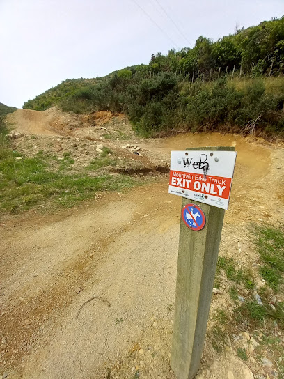 Weta Downhill MTB Track