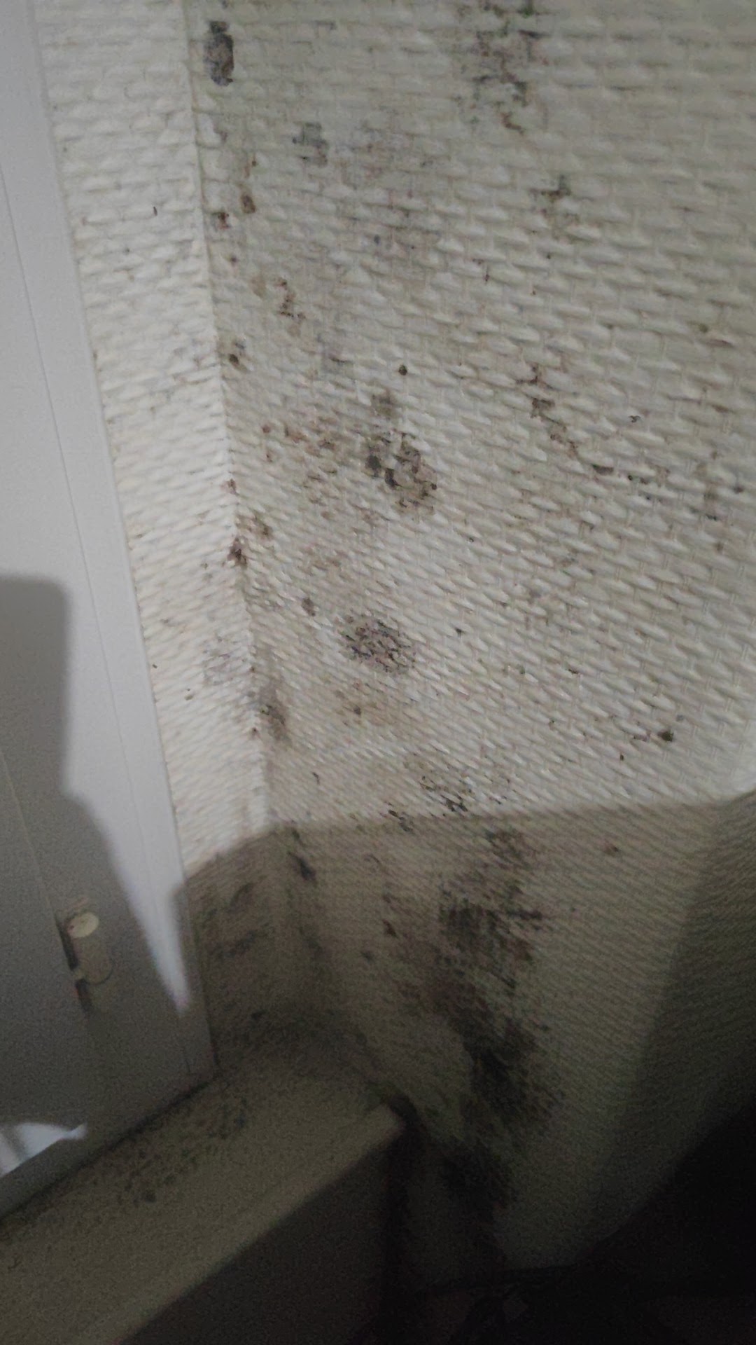 Photo n° 3 de l'avis de Mylène.u fait le 16/01/2024 à 16:47