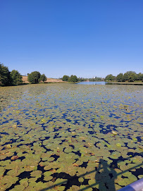 Photo n° 0 de l'avis de Geert van de Vorstenbosch fait le 24/08/2023