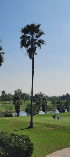 Golf Course «Palm View Golf Course», reviews and photos, 2701 S Ware Rd, McAllen, TX 78503, USA