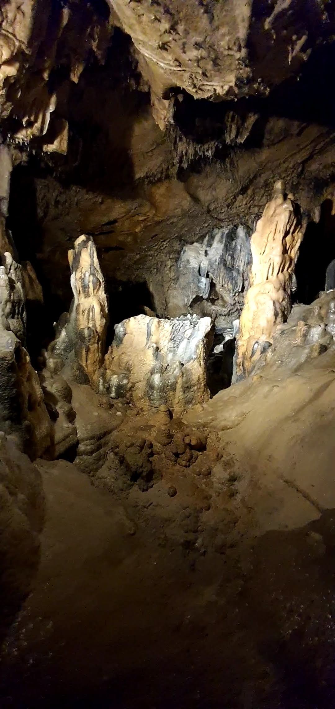 Photo n° 15 de l'avis de Emilie.z fait le 30/10/2020 à 21:33