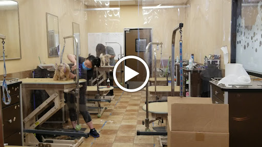 Pet Supply Store «PetSmart», reviews and photos, 4045 Dowlen Rd, Beaumont, TX 77706, USA