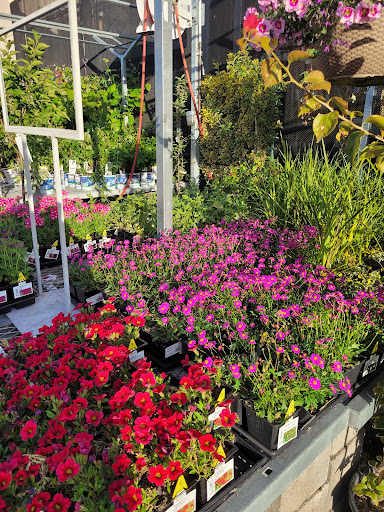 Home Improvement Store «The Home Depot», reviews and photos, 3500 Spicer Dr SE, Albany, OR 97322, USA