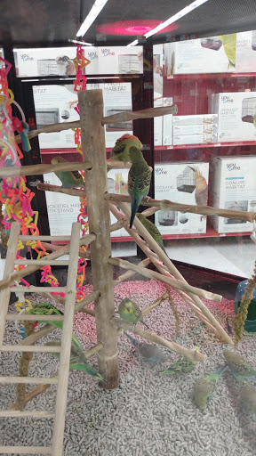 Pet Supply Store «Petco Animal Supplies», reviews and photos, 473 State Rd, North Dartmouth, MA 02747, USA