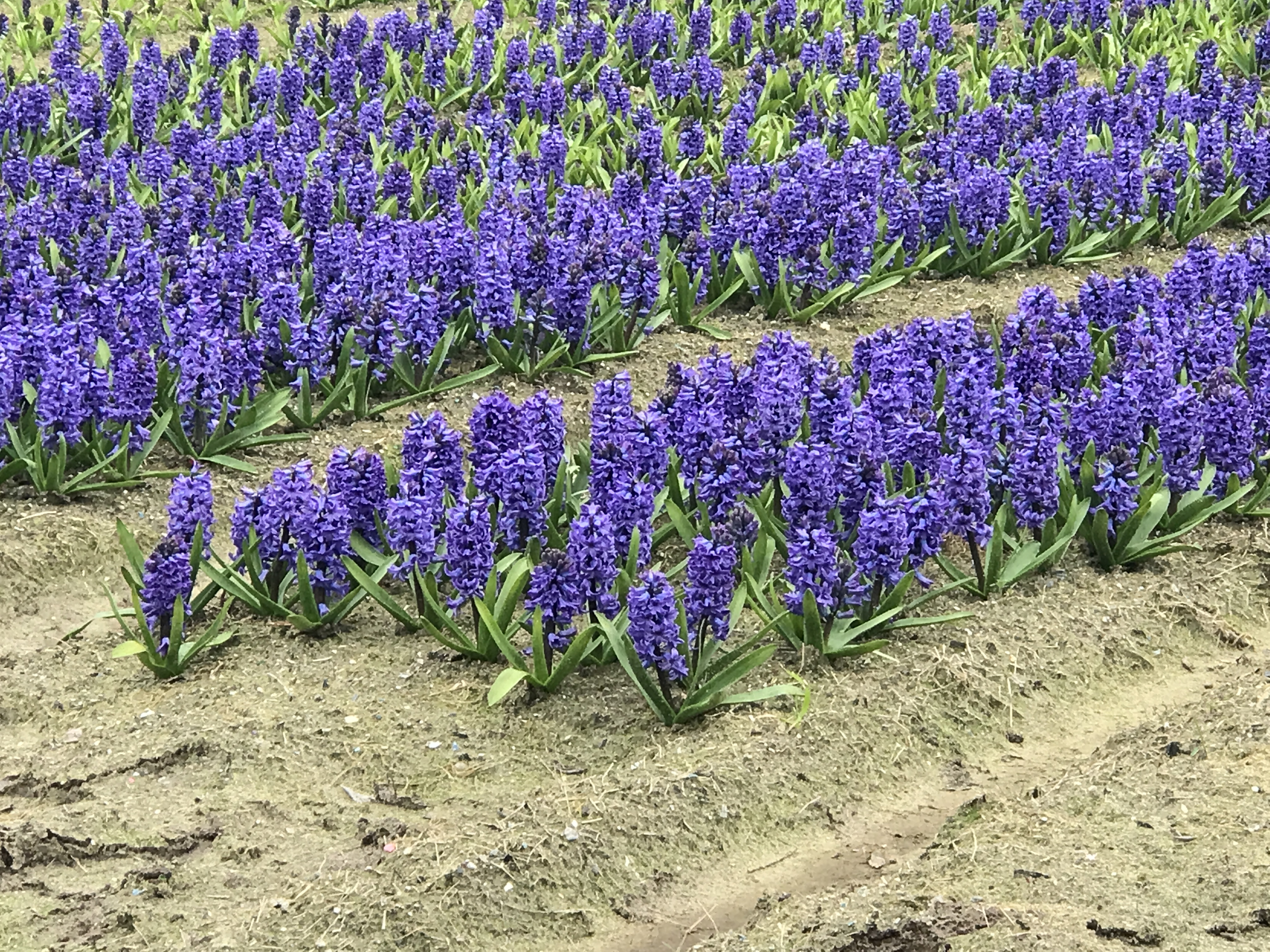 Photo n° 3 de l'avis de Jean-Marie.U fait le 11/03/2022 à 10:42