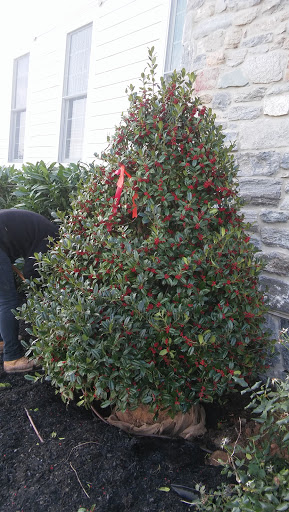 Grocery Store «Primos Mini Market», reviews and photos, 37 Strode Ave, Coatesville, PA 19320, USA