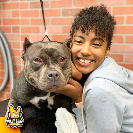 Pet Supply Store «Bully Zone Pet Supplies & Pet Grooming», reviews and photos, 1409 McCarter Hwy, Newark, NJ 07104, USA