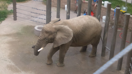 Country Club «Country Club of Colorado», reviews and photos, 125 Clubhouse Dr, Colorado Springs, CO 80906, USA