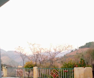 Hazara Bridge