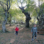 Photo n°7 de l'avis de Cristian.i fait le 17/11/2022 à 03:52 sur le  Parco dei Crisciuni à Valsinni